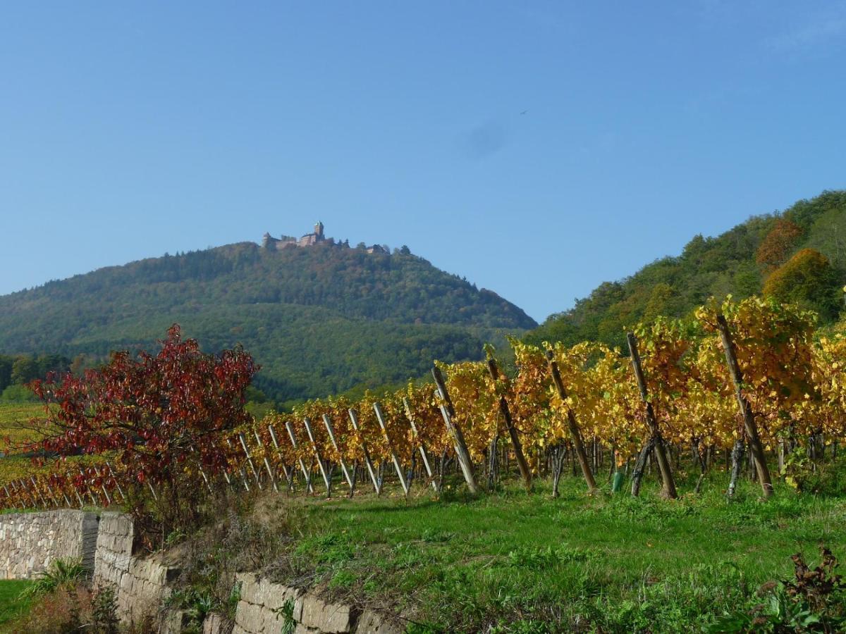 Gite D'Alsace L'Escale Остгайм Екстер'єр фото